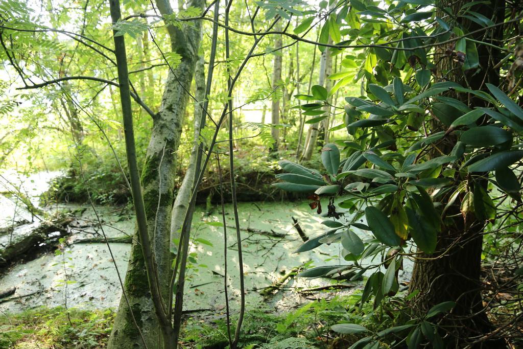 Buntes Moor Panzió Grasberg Kültér fotó
