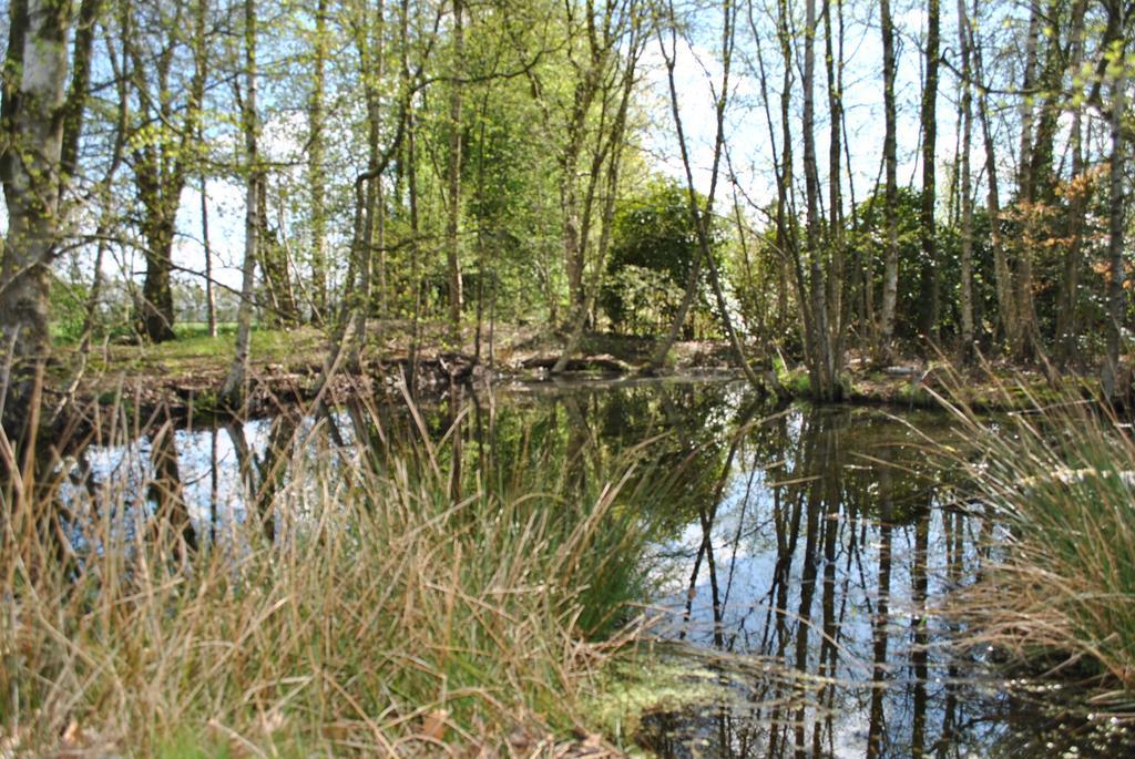 Buntes Moor Panzió Grasberg Kültér fotó